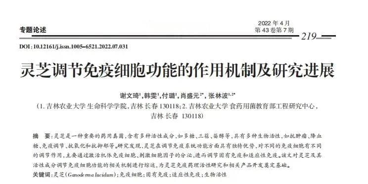 深度解析：灵芝抗衰老机制的奥秘