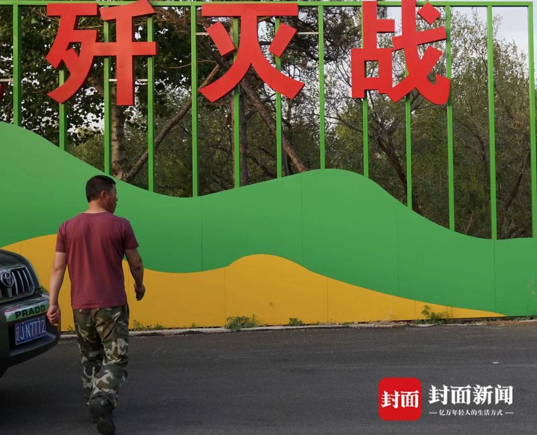辽宁阜新：“三沟经验”诞生地 山水林田湖草沙一体治理｜直击“三北”攻坚战②