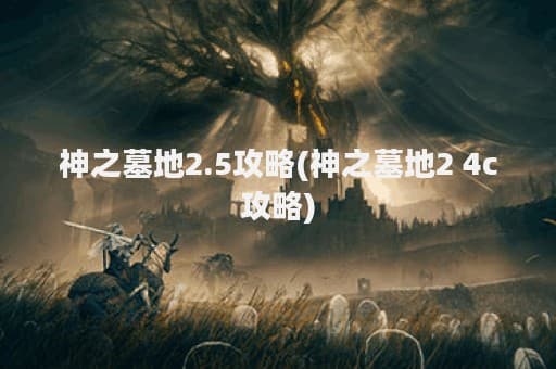 《神之墓地2.5》4C模式攻略：医生职业使用指南与圣骑士、元素师详解