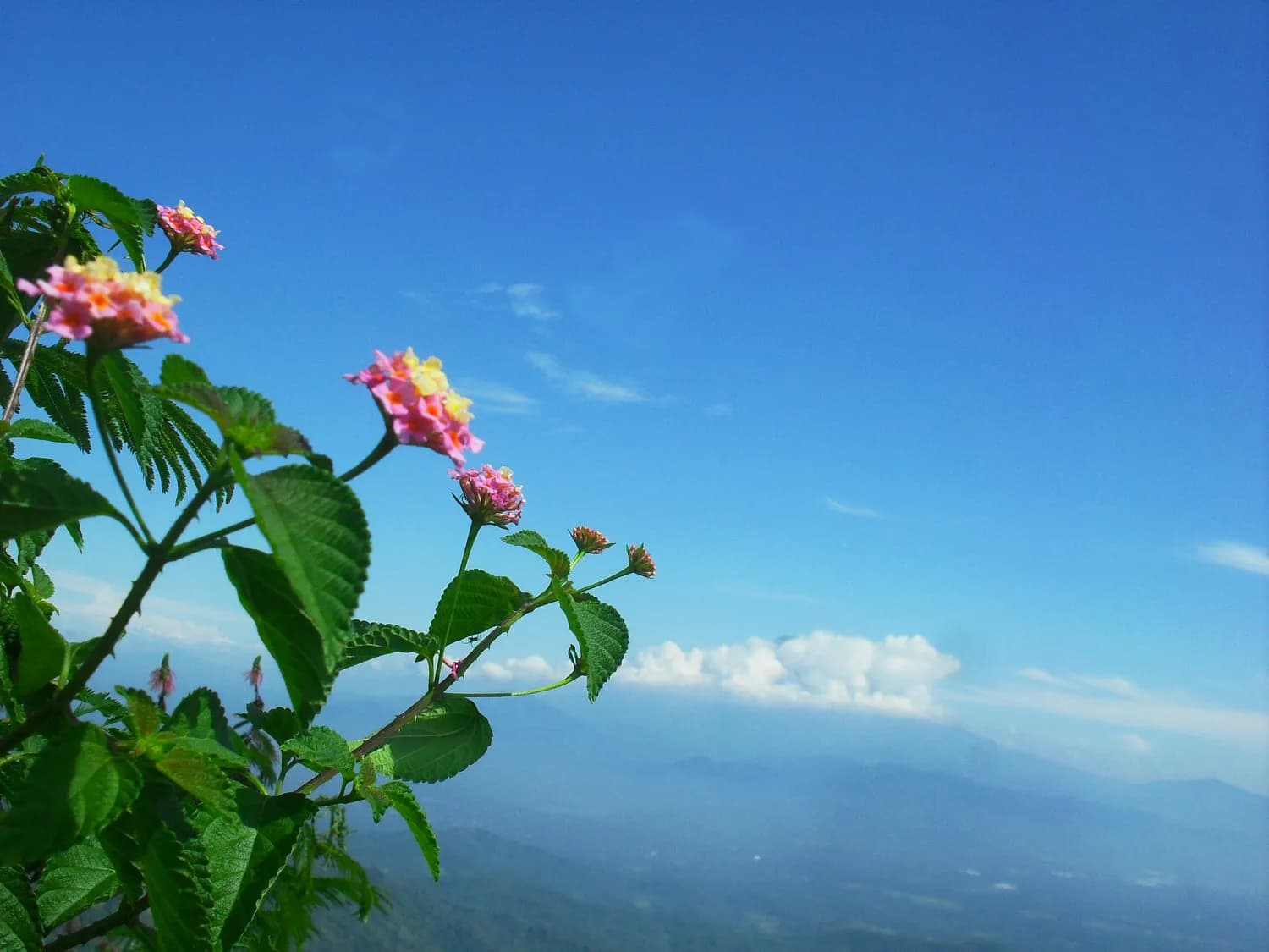 跟着小石&花花玩转云南，6天5晚超值游