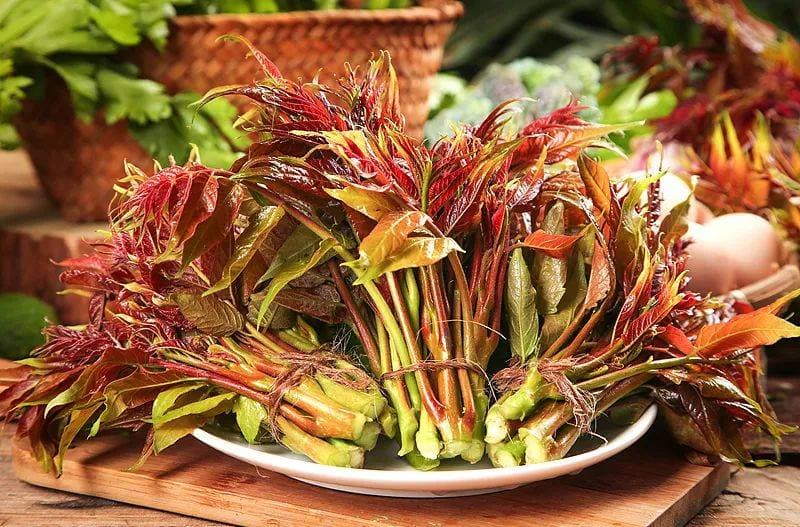 香椿：营养价值高，食用需谨慎