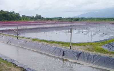 冷水鱼养殖温度水质监测方案详解