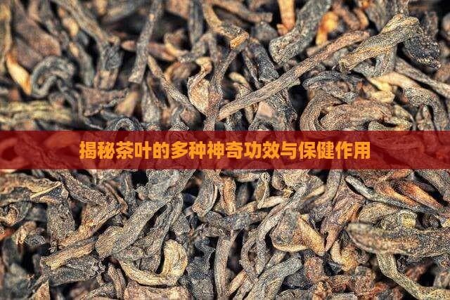 喝茶有讲究：茶叶的功效与科学饮用指南