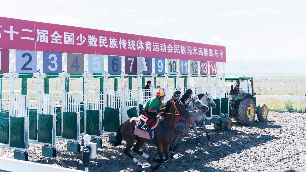 运动会马上项目马匹健康检测、验马、试闸均已完成