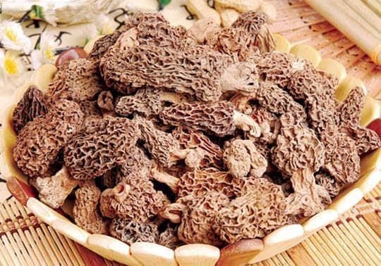 羊肚菌的功效与作用、营养价值