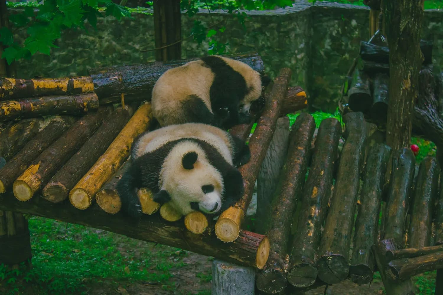 汶川地震遗址：成都出发必打卡