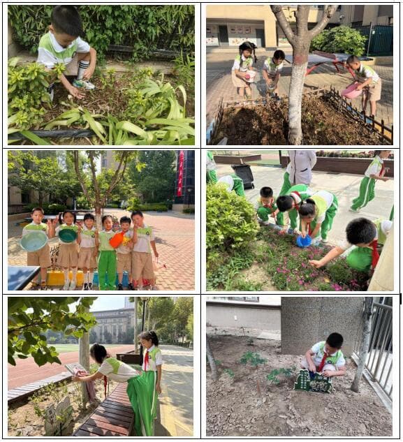 国粹传承 解码中医药文化——陆港一小“本草探秘”特色中医药课程