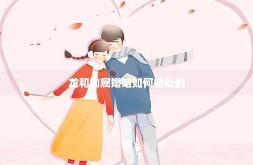 龙和狗属婚姻如何相处的