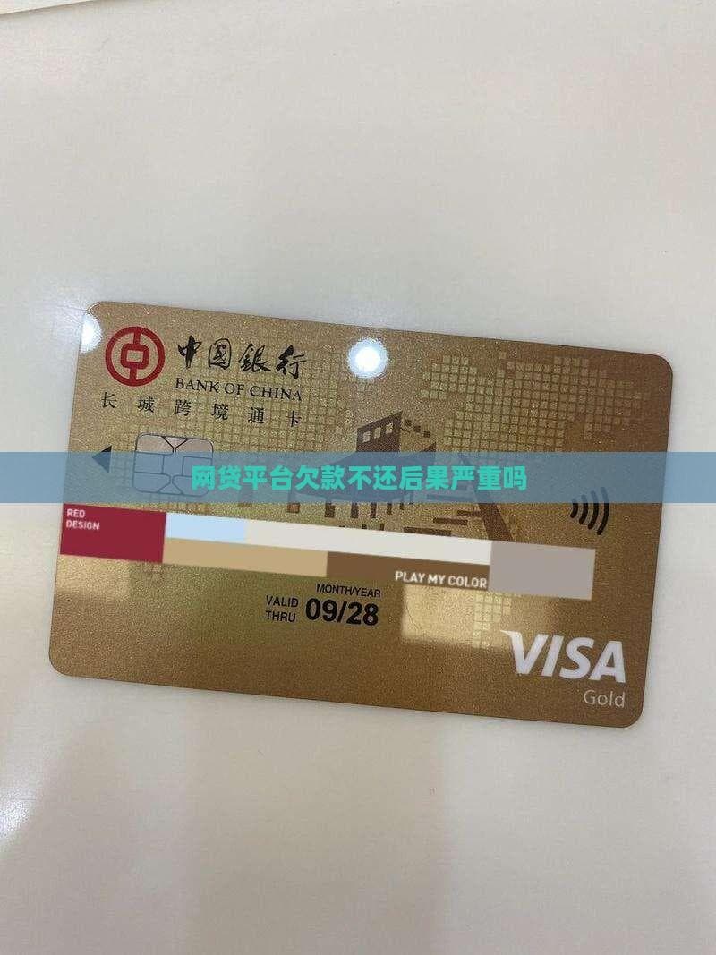 网贷平台欠款不还的严重后果