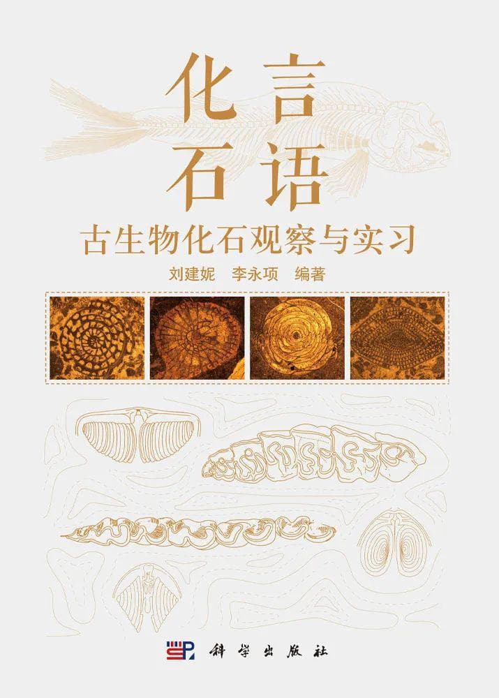 《化言石语》，带你领略化石奥秘，感受生命演化奇迹