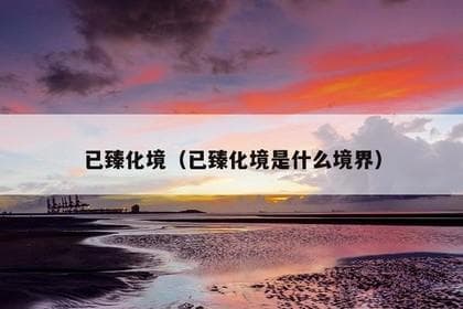 已臻化境（已臻化境是什么境界）
