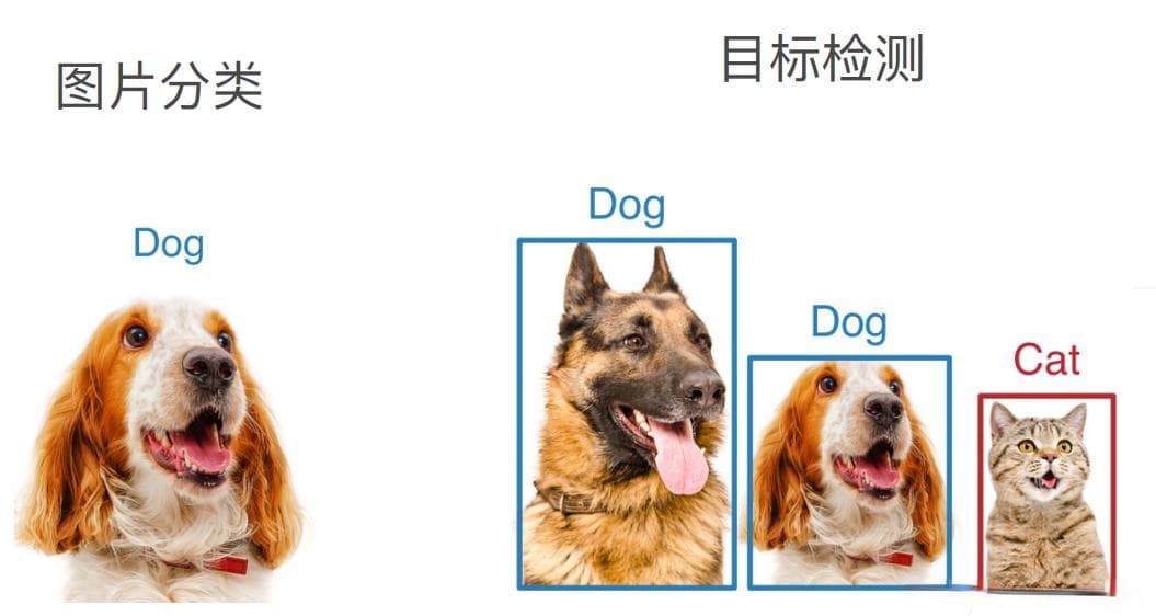 计算机视觉入门必备：数据标注及相关工具的使用