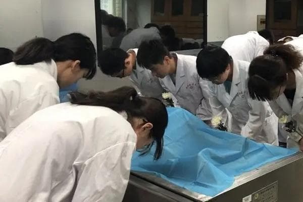 大体老师是什么
