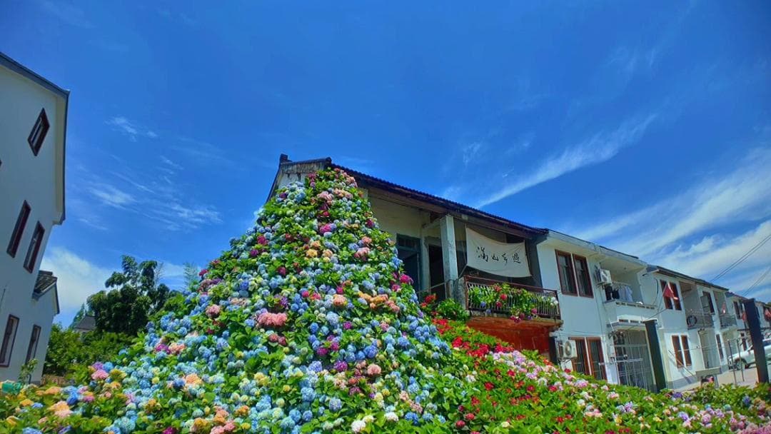 上海郊区五大乡村景点：从绣球花海到萱草花海，尽显江南水乡魅力