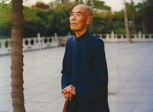 杨氏太极传人赵斌：从黄埔军校到武学殿堂，一代宗师的传奇人生