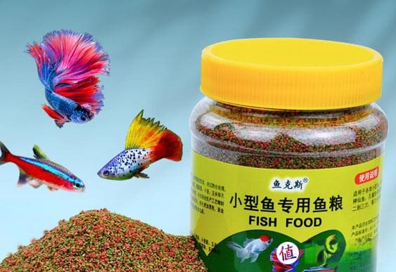新鱼入缸必读：八个关键步骤确保安全适应