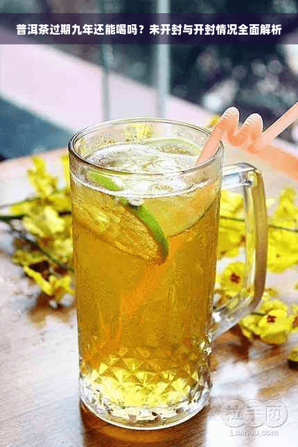 普洱茶过期九年还能喝吗？未开封与开封情况全面解析