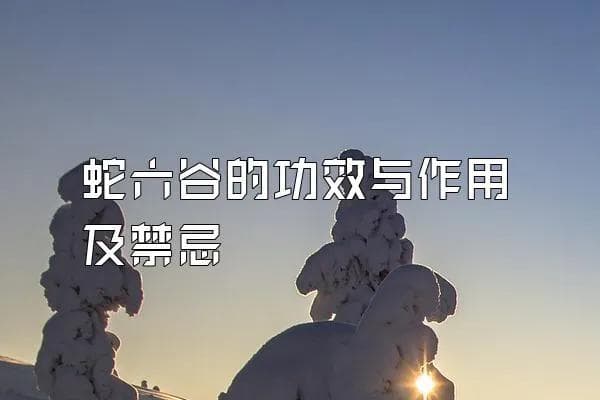 蛇六谷的功效与作用及禁忌