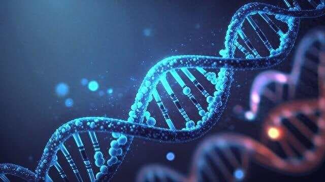 郑和船队的“基因战争”：从船员DNA揭秘古代海上民族融合
