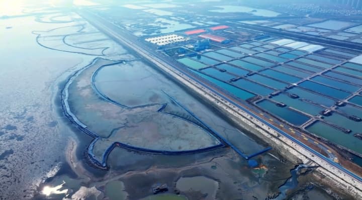 江苏启东：电力大数据助力做优“土特产”，小紫菜变身致富“金疙瘩”