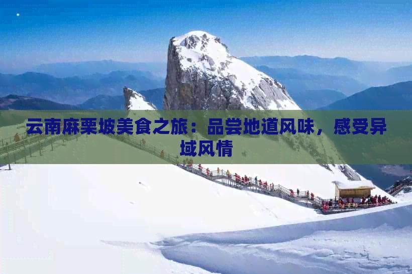 云南麻栗坡旅游全攻略：景点、美食、交通一应俱全！