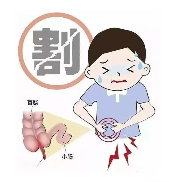 右下腹部疼痛？警惕阑尾炎发作！