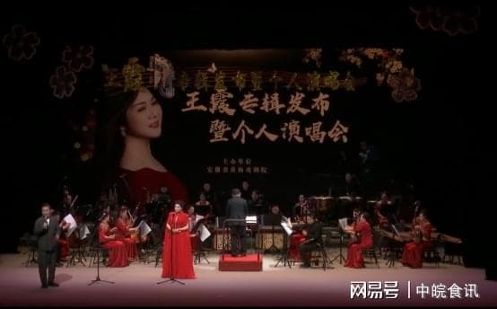 霞之韵 黄梅情——黄梅戏演员王霞的戏曲人生