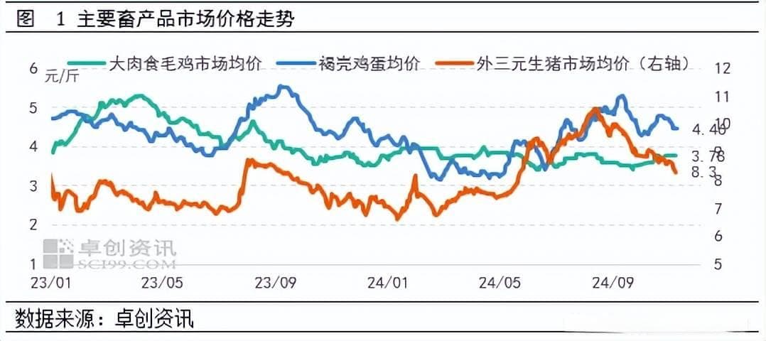 2025年饲料畜牧行业趋势分析展望