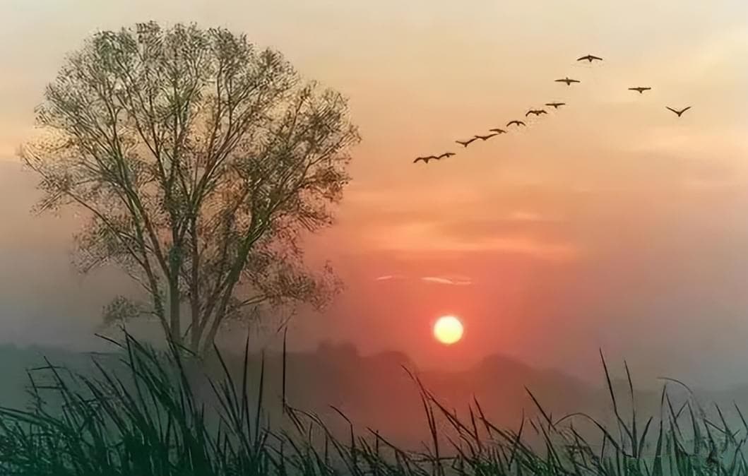 8首经典打油诗，带你领略这种独特诗体的魅力