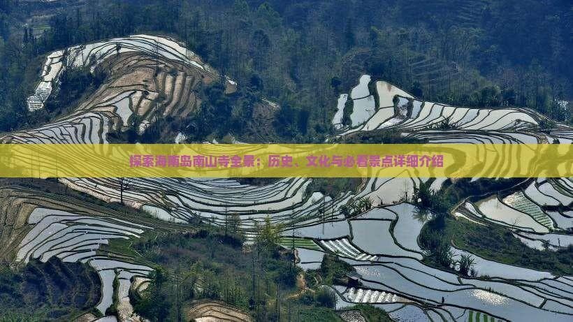探索海南岛南山寺全景：历史、文化与必看景点详细介绍