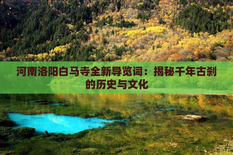 河南洛阳白马寺全新导览词：揭秘千年古刹的历史与文化