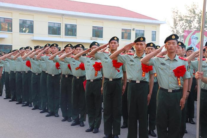 退役士兵如何提升学历？天津地区优待政策全解析
