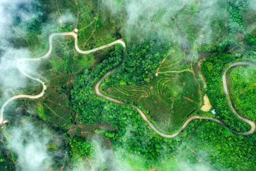 苍梧：茶船古道通云海 六堡茶香飘万里