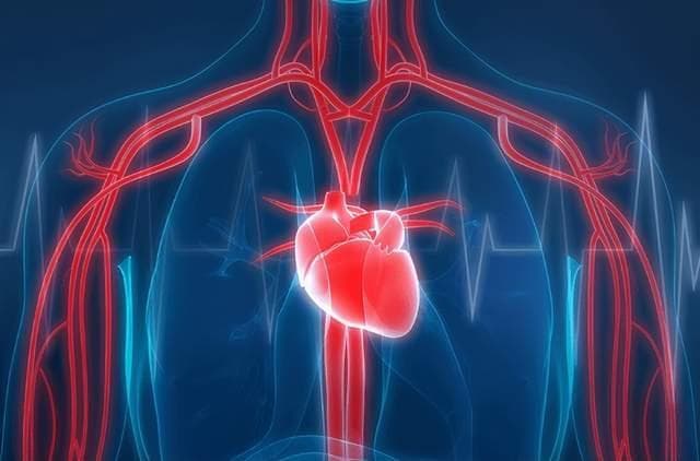 心脏病的成因、症状与预防：全面了解心脏健康