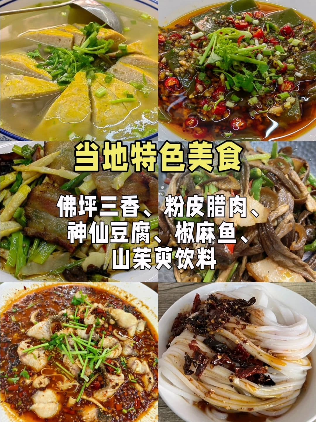 西安佛坪一日游全攻略：熊猫家园里的“茱萸之乡”