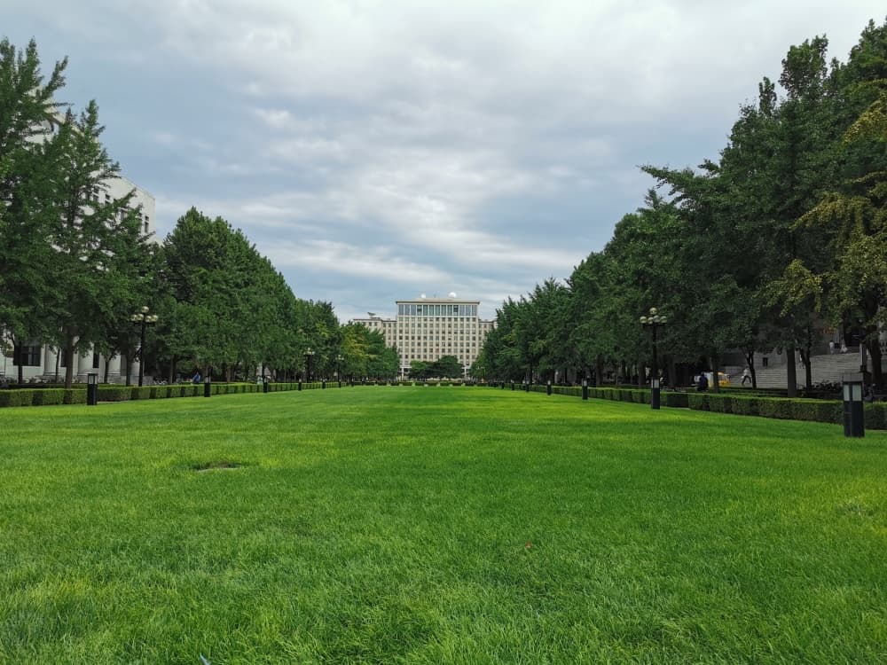 录取人数下降，清华大学“强基计划”面临问题分析，对策来了