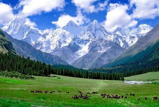 新疆必游景点推荐：探索多彩地区，尽享旅行乐趣