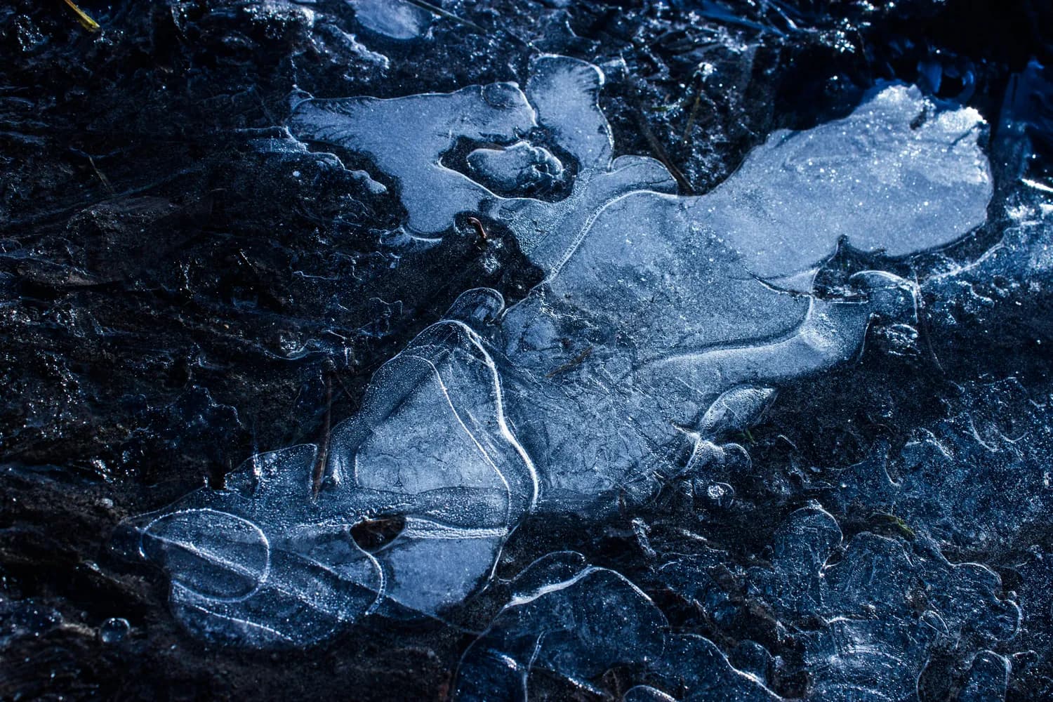 九寨沟环线自驾游攻略：冰雪世界里的童话之旅