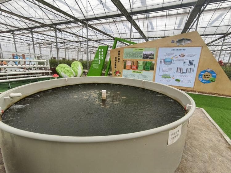 从节水宣传教育到节水成果展现 广西向水资源管理新高度进发