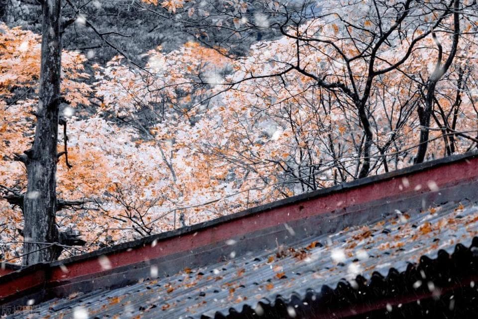 “大雪不冻，倒春寒”？2024年是冷冬还是暖冬？看看老祖宗怎么说