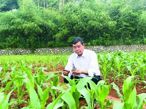 科技如何助力肥料减量增效