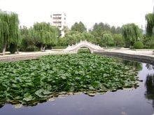 眼镜湖：自然与人文交织的诗意之地