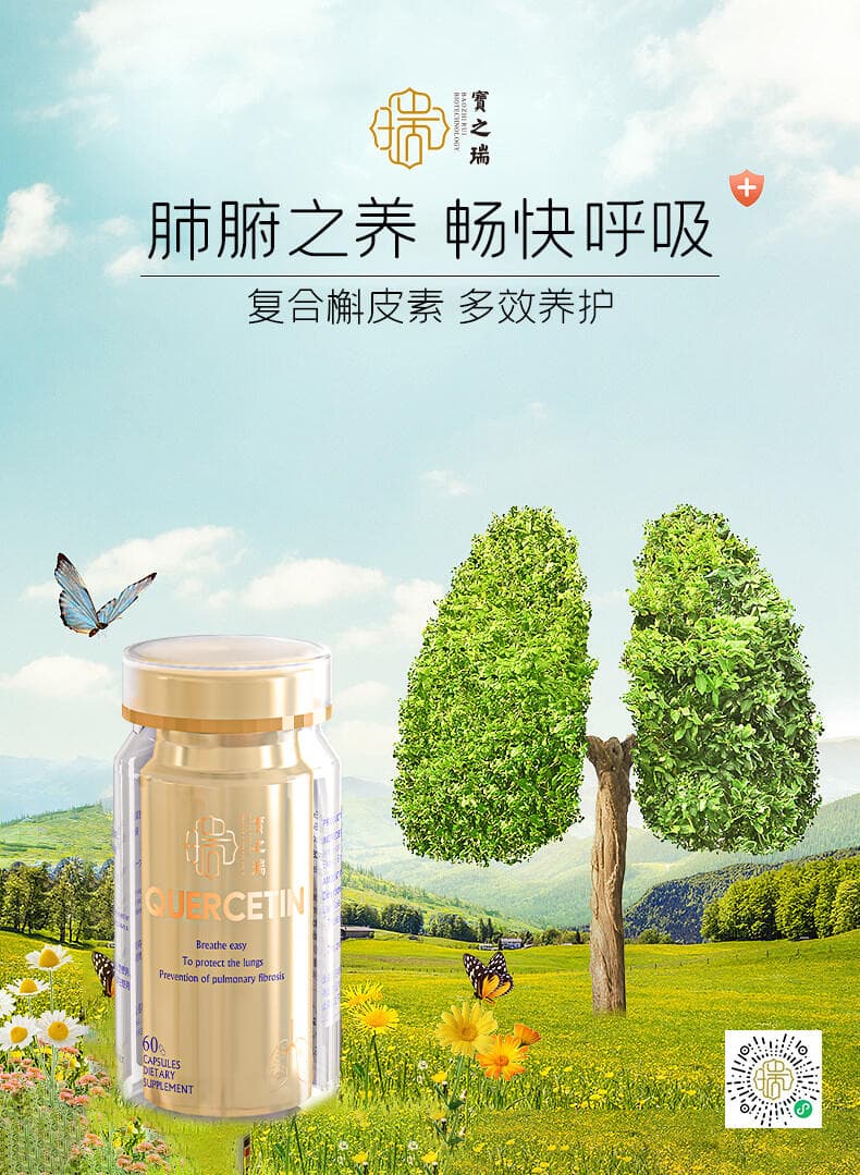 槲皮素：天然抗氧化明星，守护健康的多面手