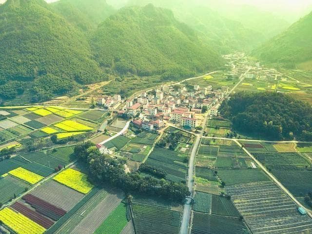 探秘浙江和美乡村：“千万工程” 绘就共富新画卷