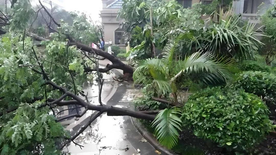 小区物业暴雨后检查内容