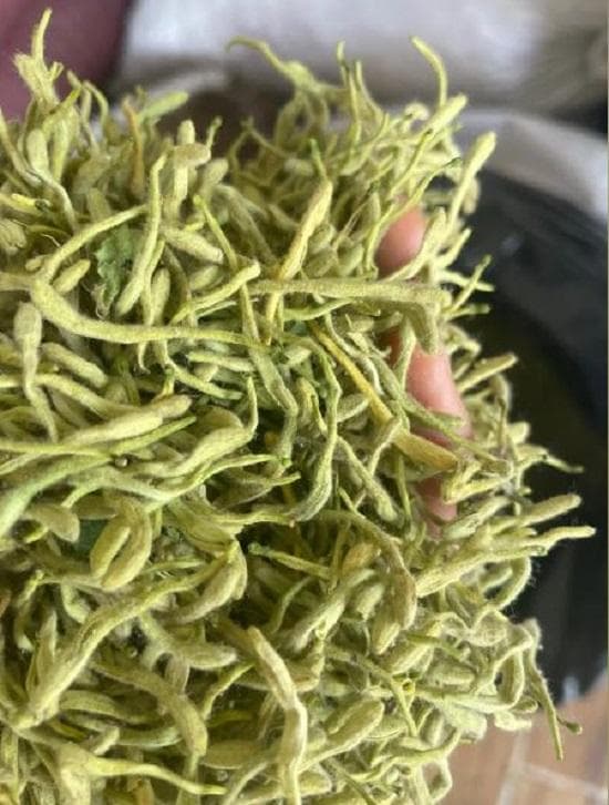 药财有道 | 高价之后慢慢寻底路：金银花