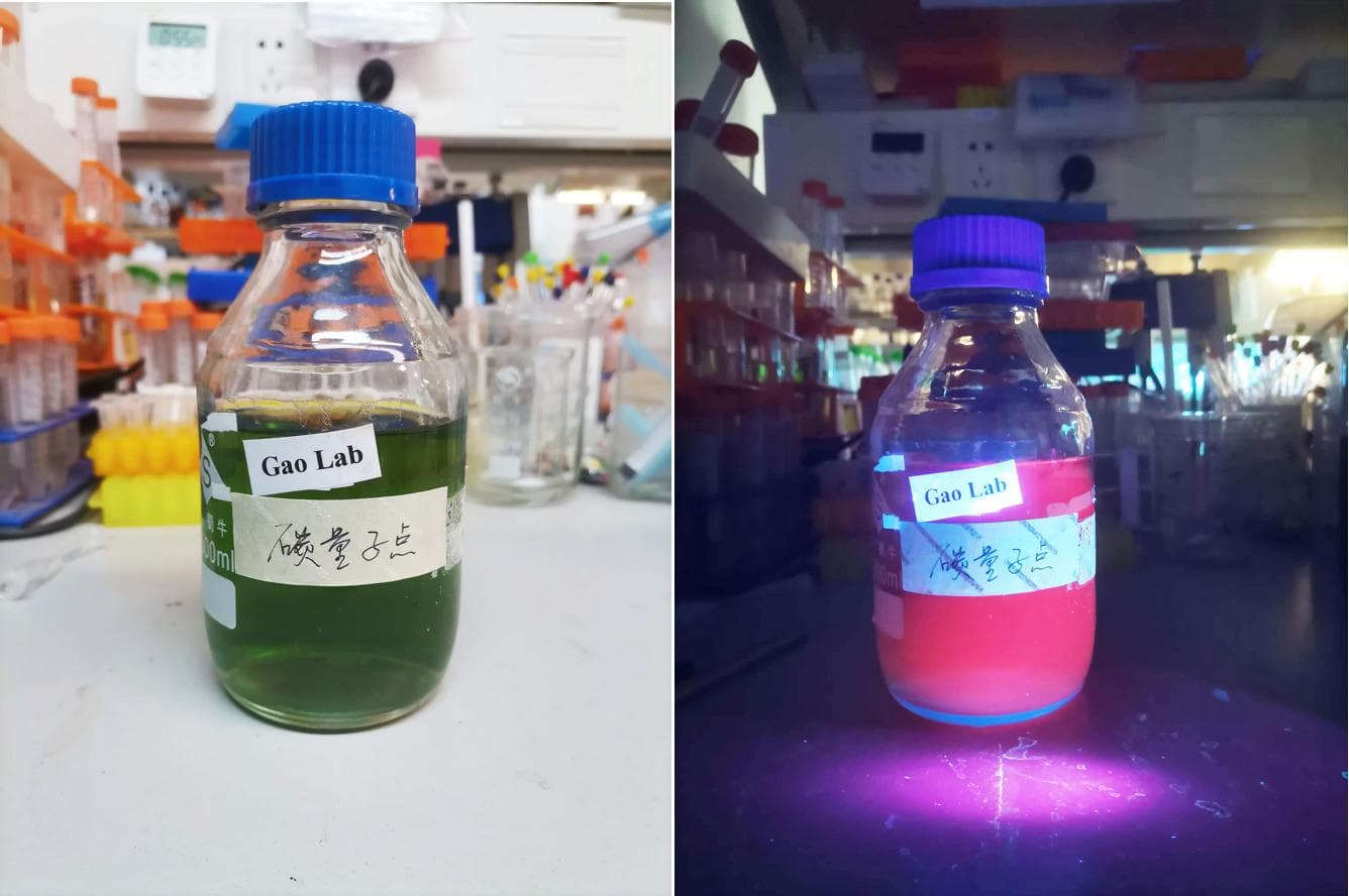 变废为宝：碳基纳米材料助力光合作用效率提升
