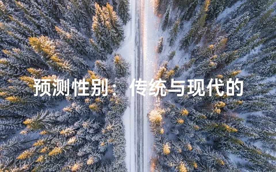 预测性别：传统与现代的交汇