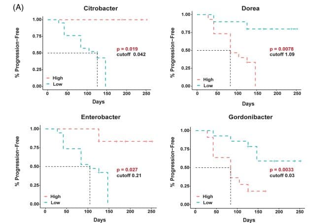 肠道微生物与胃癌治疗效果—探索新的抗药性突破口