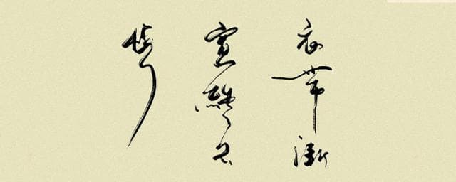 衣带渐宽终不悔什么意思